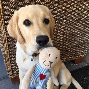 Meet your Posher, Debra